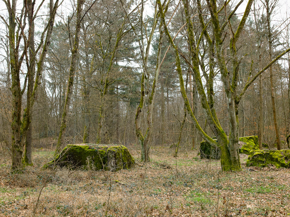 Bunkertrümmer-Westwall